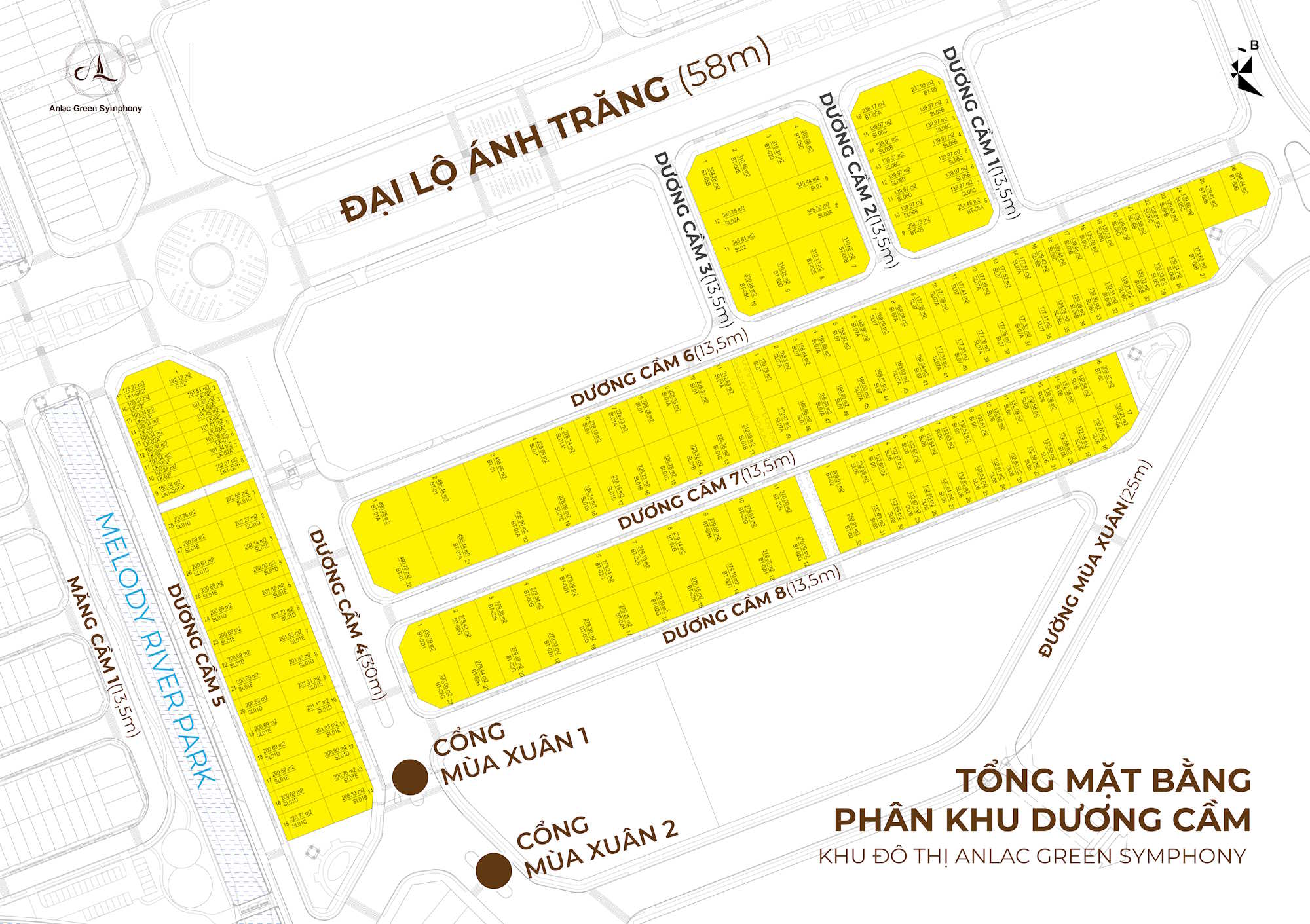 Mặt bằng phân khu Dương Cầm - An Lạc Green Symphony
